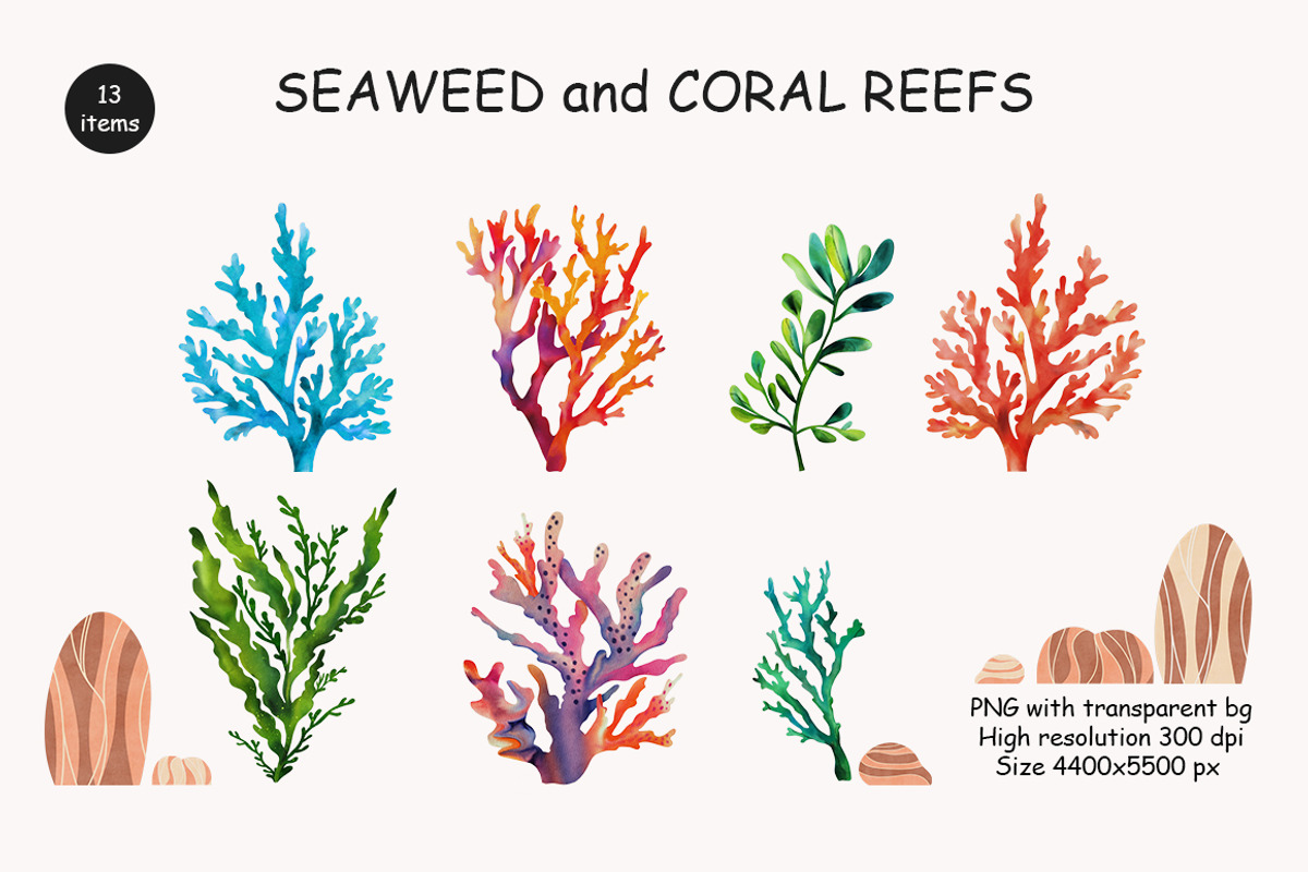 Algae & Coral Vector + Watercolor, an Object Illustration by IrenKlm (Photo 2 of 4)