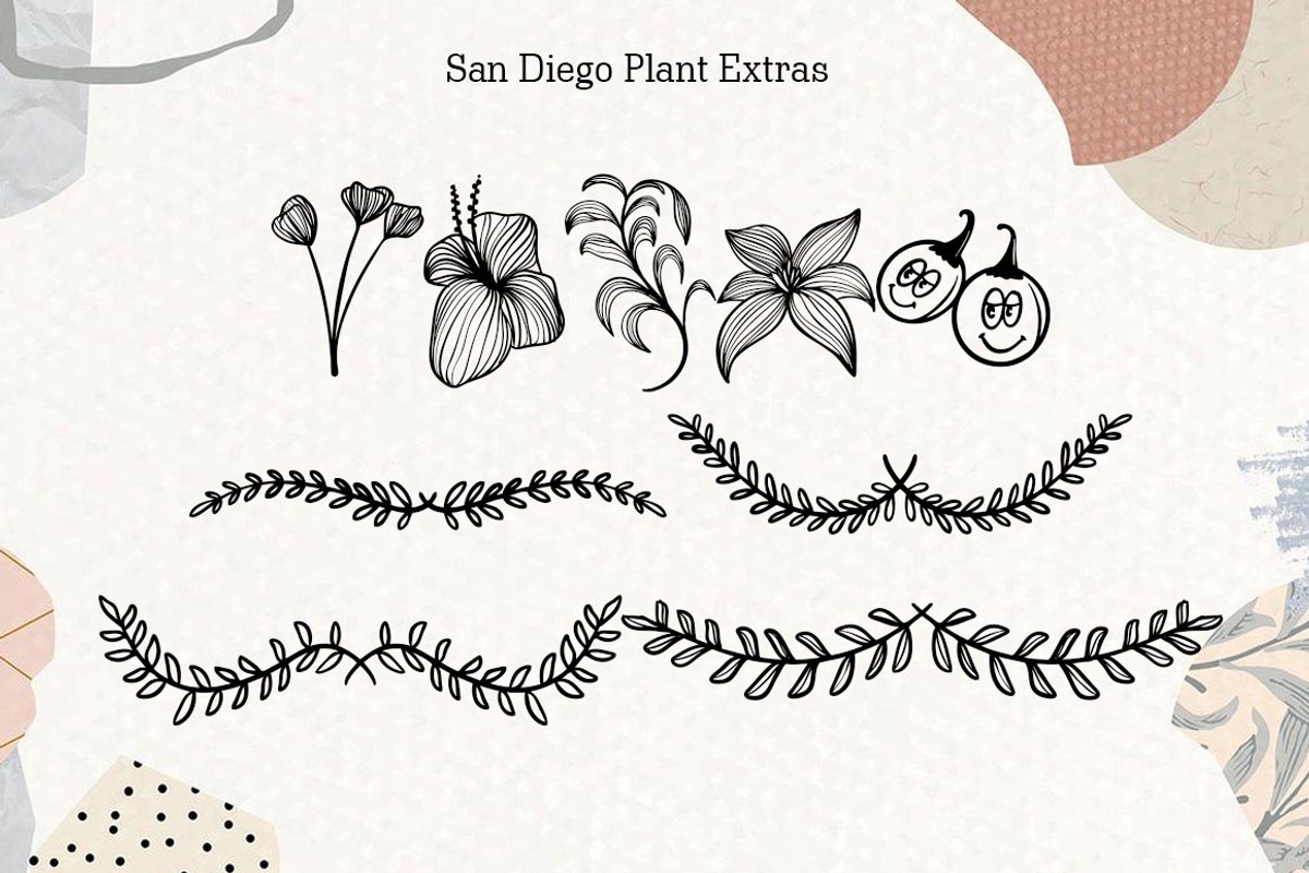 San Diego, a Script Font by Zaenal Studio (Photo 5 of 13)