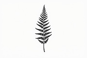 8 Fern Leaf Silhouette Bundle, an Illustration by BIPLOB EXPERT (Thumbnail 2 of 9)