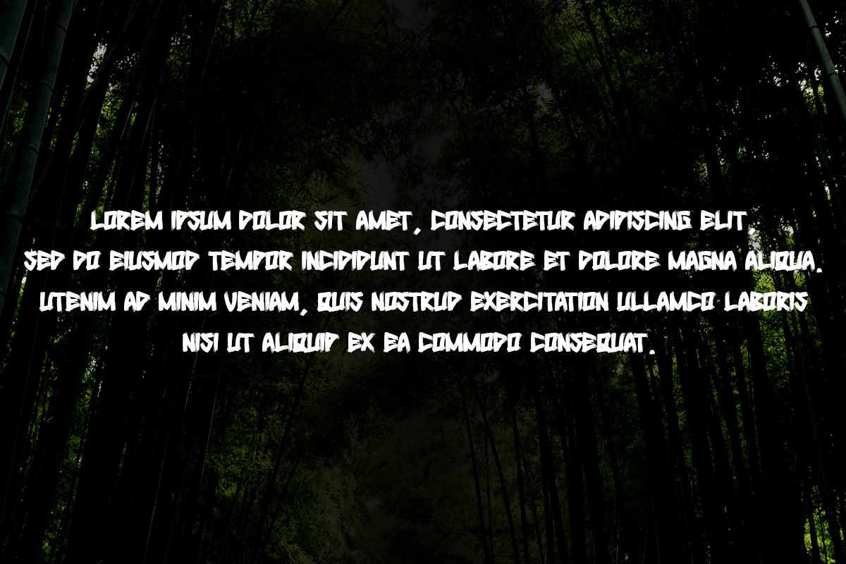 Miyoshi | Japanese Style, a Font by BringTypeStudio (Photo 3 of 5)