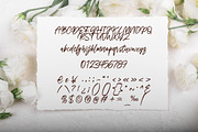 Sanikata - Texture Script Font, a Script Font by Dhabee (Thumbnail 3 of 15)