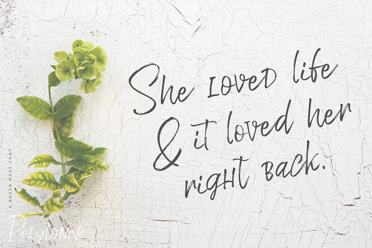 Polytones | A Brush Made Font preview 4