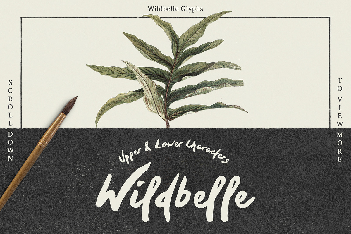 Wildbelle Font preview 2