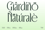 CS Macey – Art Nouveau Font, a Serif Font by Craft Supply Co. (Thumbnail 6 of 8)