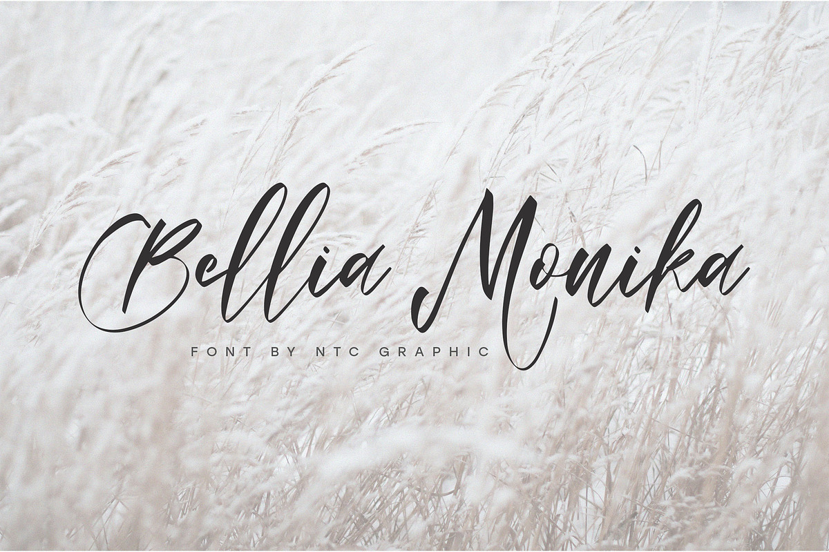 Bellia Monika Elegant Script Font, a Script Font by NTC Graphic (Photo 1 of 8)