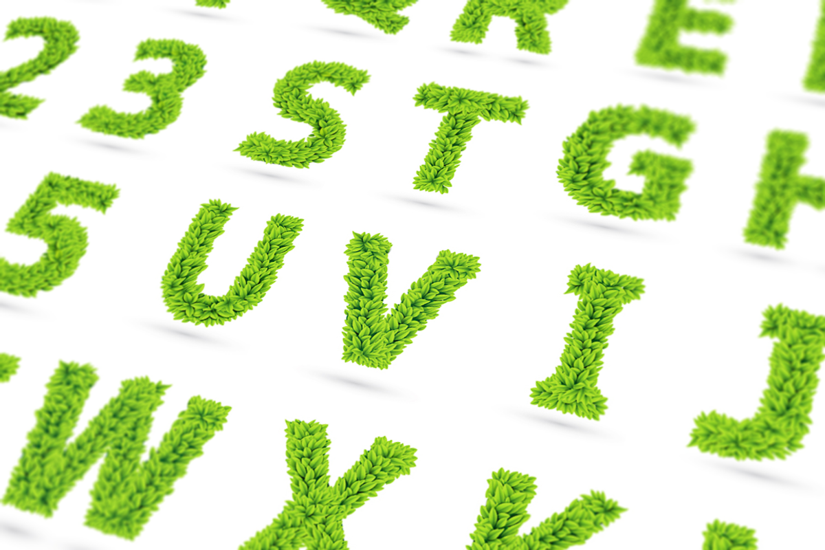Vector Leaf Alphabet [Vector], an Object Graphic by Chuhastock (Photo 1 of 12)