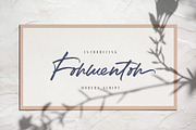 Formetor Script font!, a Script Font by kavoon (Thumbnail 2 of 14)