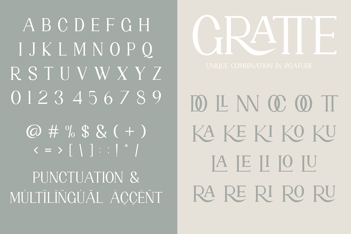 GRATTE Ligature Serif Font, a Serif Font by Humaira_std (Photo 7 of 10)