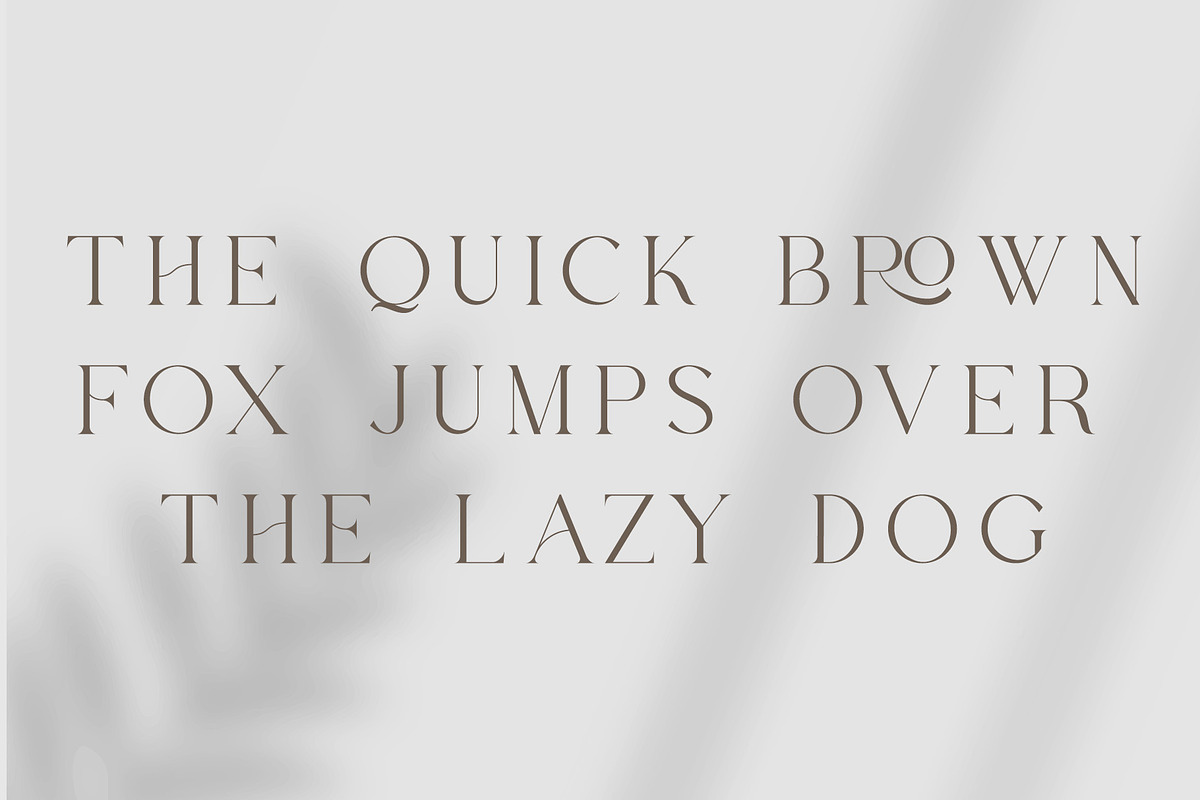 Mirosse - Modern Typface Serif Font, a Font by AnnofaType (Photo 3 of 12)