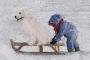 Procreate Niveus Winter Artistry, a Brush Add-On by Brush Moment (Thumbnail 7 of 13)