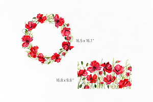 Watercolor Red Poppies Flowers Png