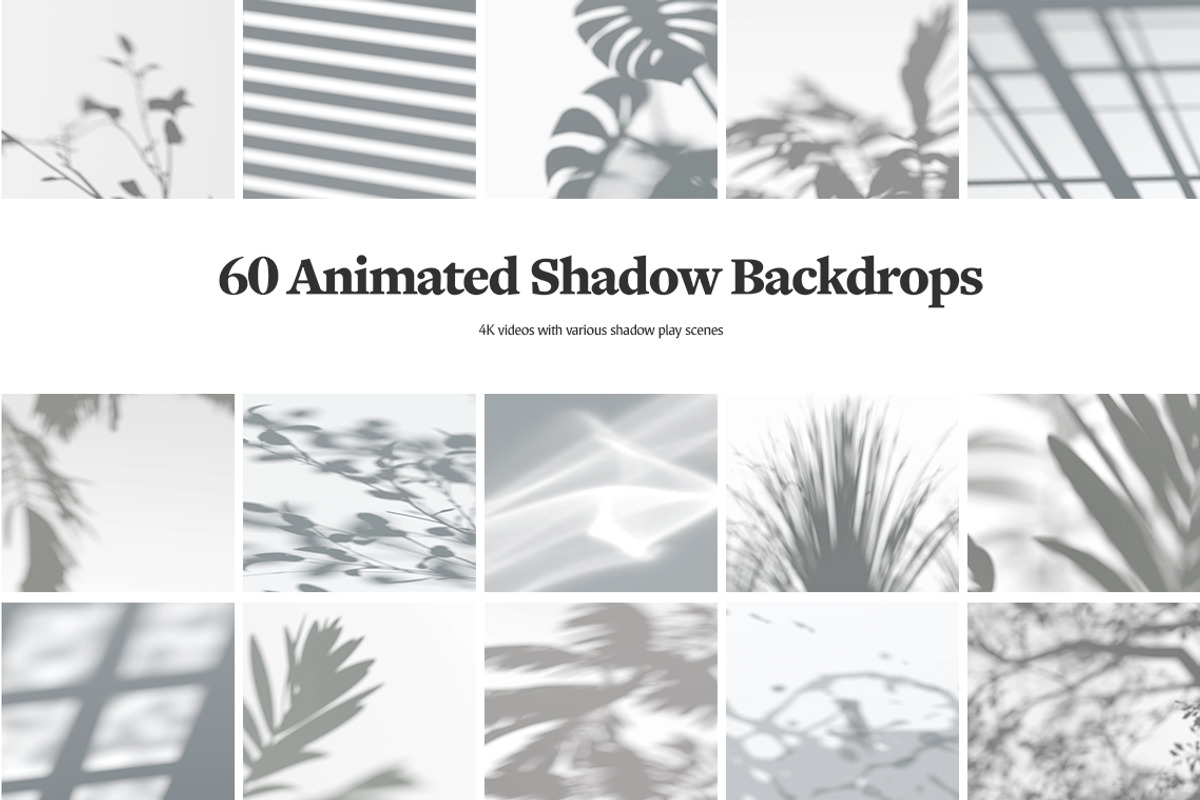 Shadow Backdrops Videos Collection, a Mockup by rebrandy (Photo 3 of 20)
