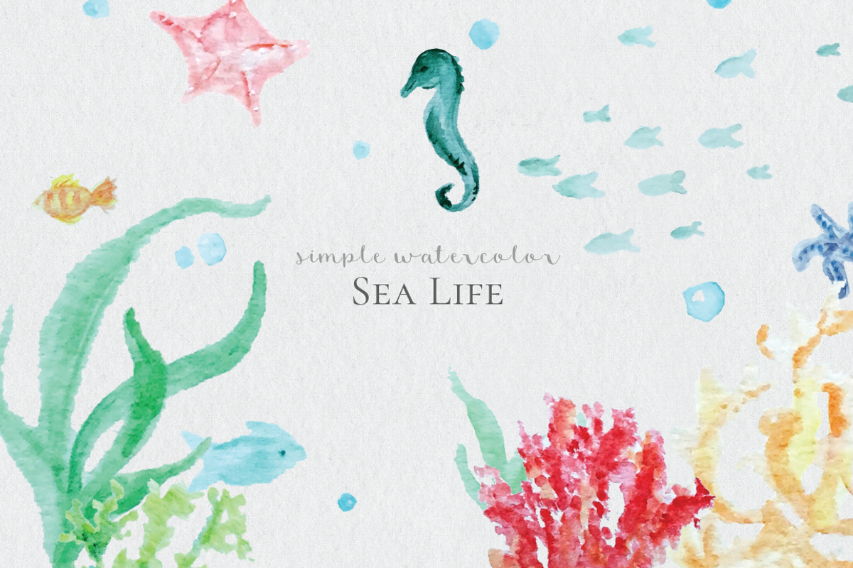 Watercolor Sea Life, an Illustration by DesignsByMissM