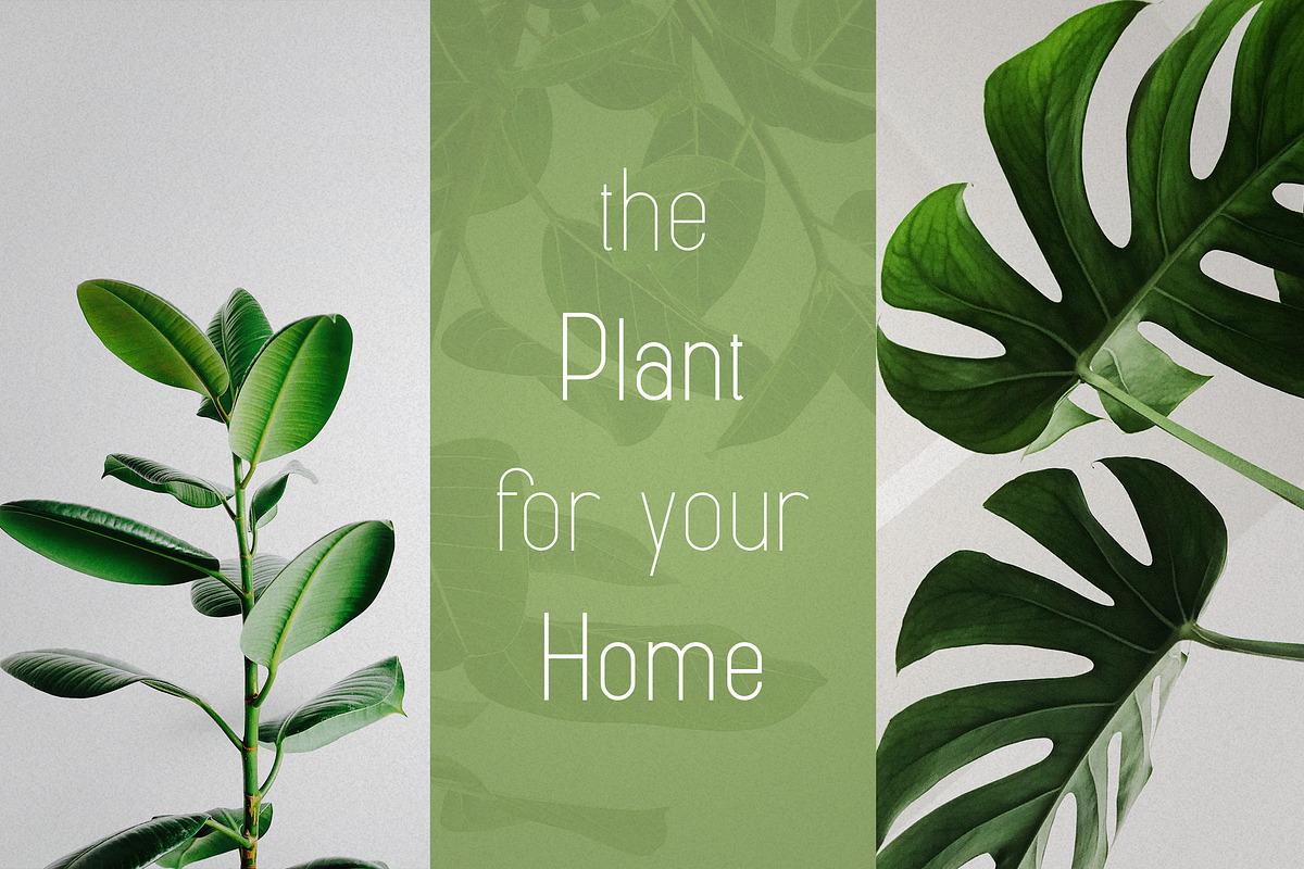 Eunoia - Sans Serif Typeface preview 4