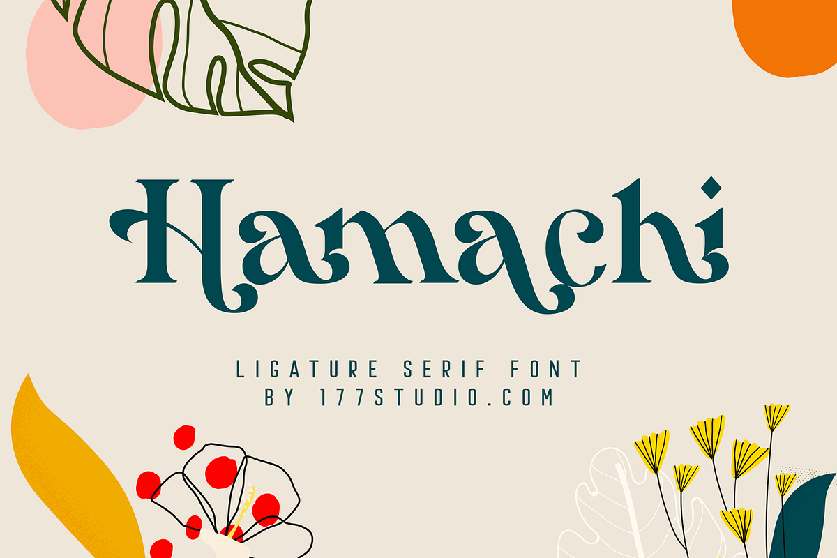 Hamachi Font, a Serif Font by 177Studio (Photo 1 of 8)