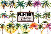Tropical Palm Tree Clipart Bundle, an Illustration by Pixels.Craft (Thumbnail 1 of 8)