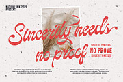 Gilosta Surfing | With Sans, a Script Font by Natural Ink Studio (Thumbnail 2 of 9)