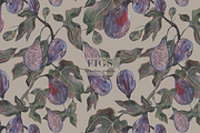 FIGS, an Illustration by PASHKOVA (Thumbnail 9 of 11)