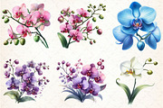 Watercolor Orchid Clipart, an Illustration by Libby Wishes (Thumbnail 2 of 7)