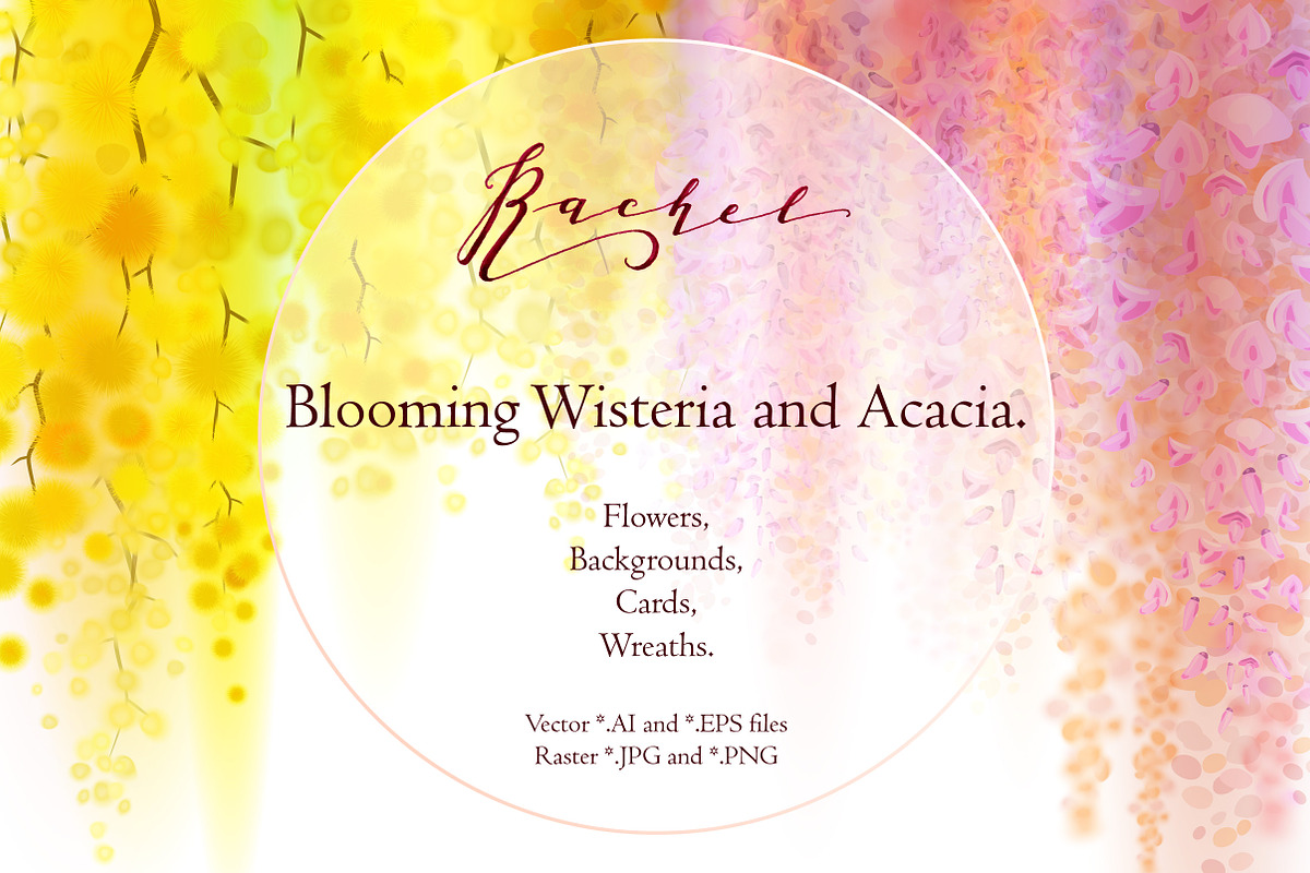 Rachel. Wisteria and Acacia, a Decorative Illustration by artabramova (Photo 1 of 9)