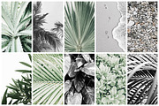 98% OFF | Tropical Bundle | 170 IN 1, a Photo by Floral Deco (Thumbnail 9 of 14)