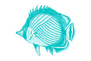 10 Vector Ocean Illustration Pack, an Illustration by Theresa Barba (Thumbnail 9 of 11)