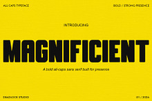 MAGNIFICIENT! HEADLINE FONT!
