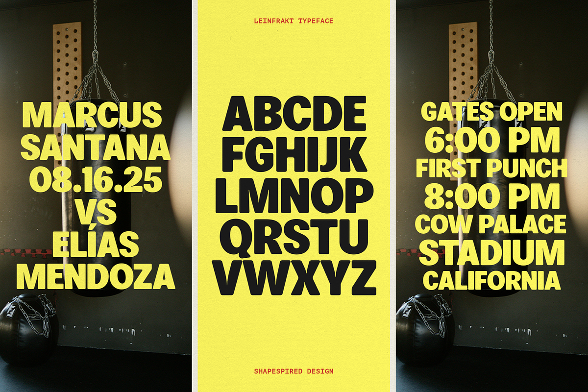 Leinfrakt - Heavy Display Sans, a Sans Serif Font by Shapespired Design (Photo 6 of 16)