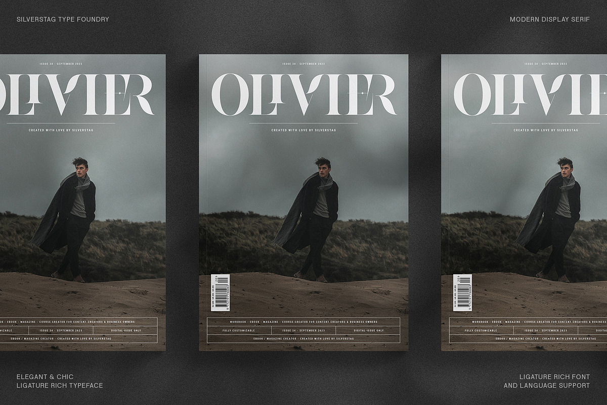 Raving Display Editorial Serif Font, a Serif Font by SilverStag Type Foundry (Photo 10 of 30)