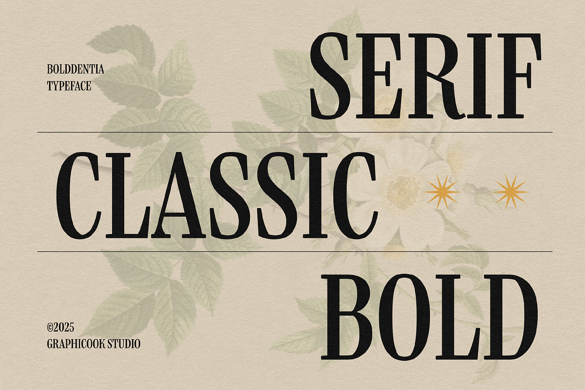 Boldentia, a Serif Font by graphicook (Photo 2 of 10)