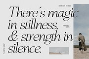 Fluneta, a Serif Font by zeenesia (Thumbnail 7 of 21)