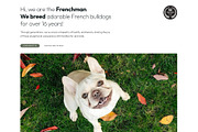 Frenchman - WP dog breeder kit, a Templates & Theme by Oooh Boi (Thumbnail 2 of 12)