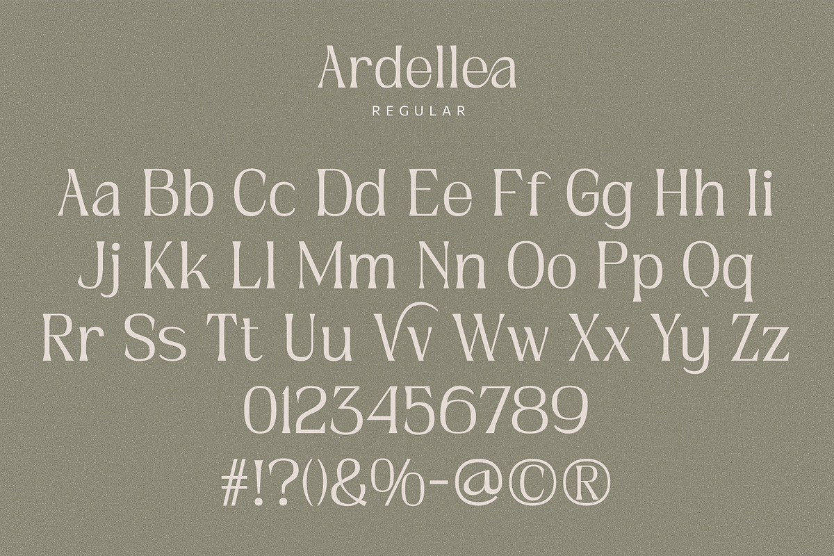 Ardellea, a Serif Font by din-studio.com (Photo 6 of 16)