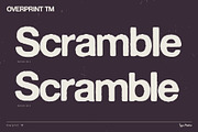 Overprint TM – Distressed Sans Serif, a Sans Serif Font by Type Mania (Thumbnail 5 of 10)