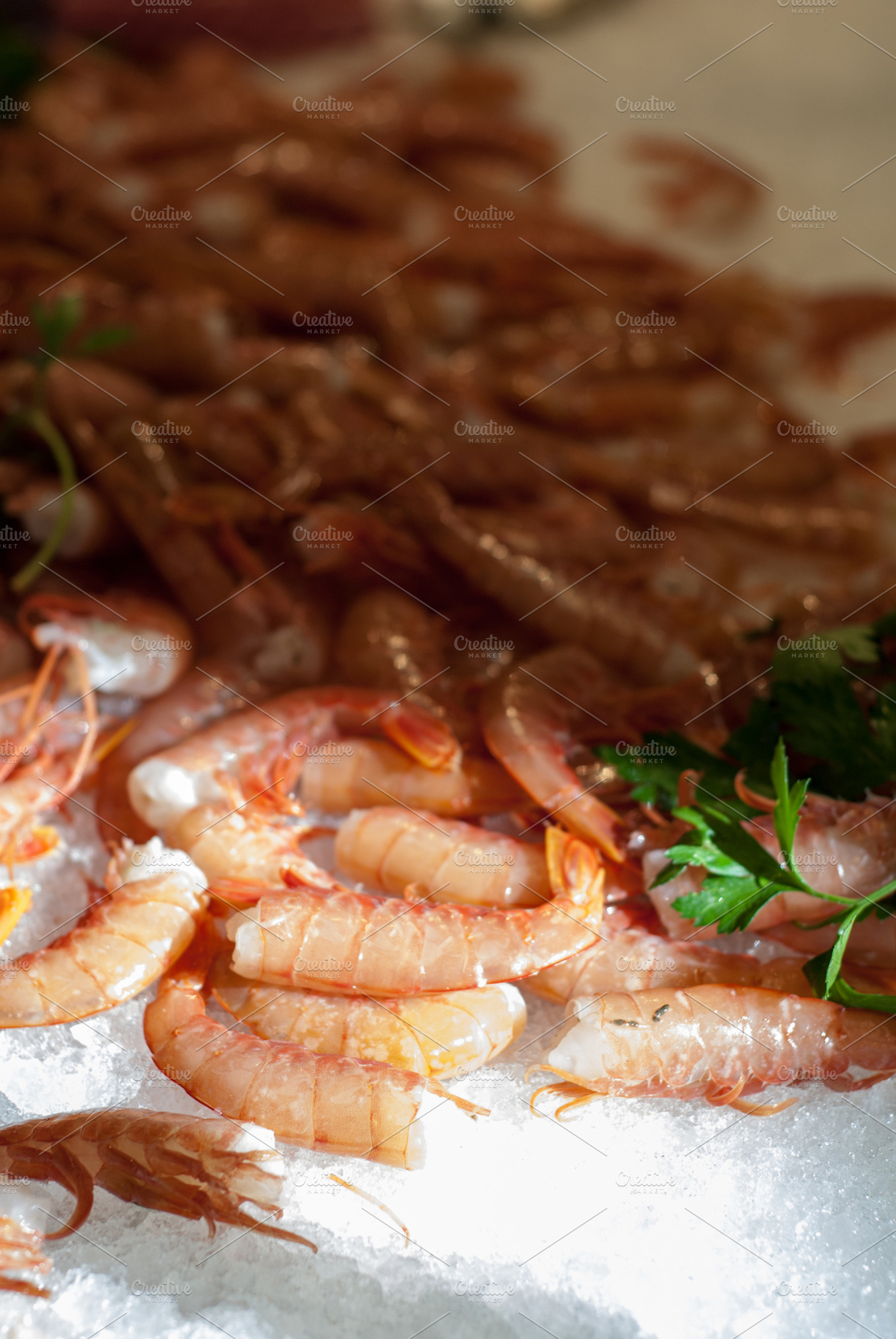 Shaded Shrimp