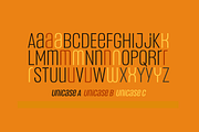 Headlines Unicase Font Family, a Sans Serif Font by TypeThis!Studio (Thumbnail 10 of 26)