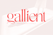 Gallient, a Serif Font by DYSA Studio (Thumbnail 1 of 15)