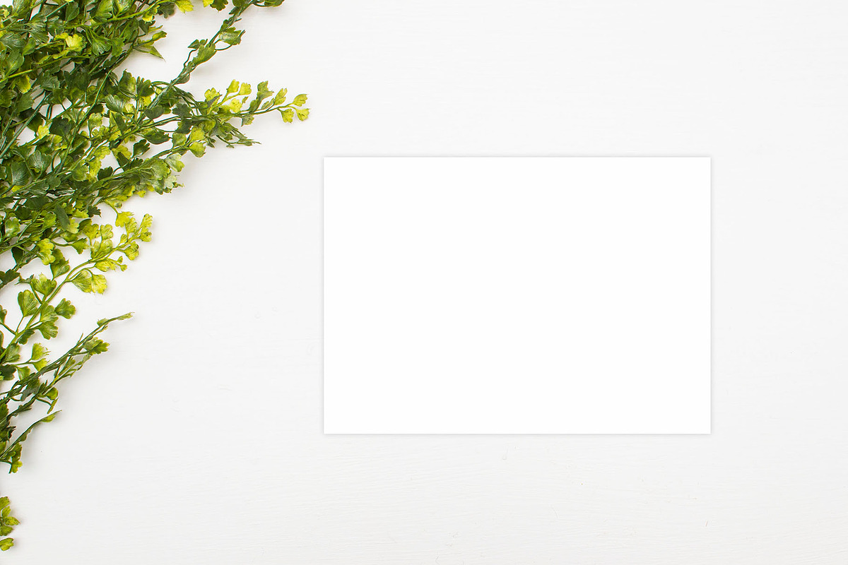 Mockup, Modern White Classy Mockups, a Photo by BlueBooks (Photo 1 of 2)