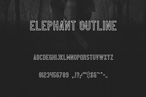 Elephant Font Family -50%