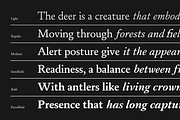 Daisler; 12 Text Serif Font, a Serif Font by Eko Bimantara (Thumbnail 7 of 15)