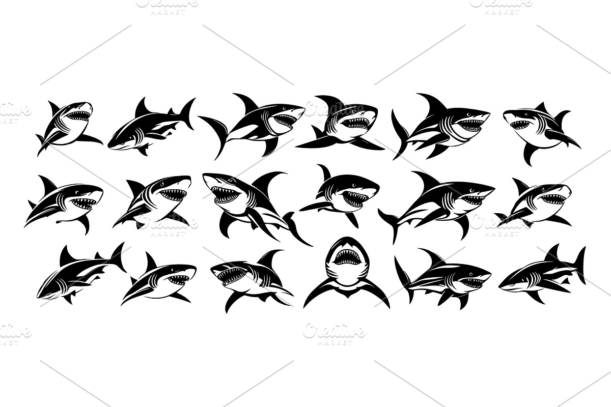 Sharks black ink drawing collection, an Animal Illustration by Valerie Bodnar