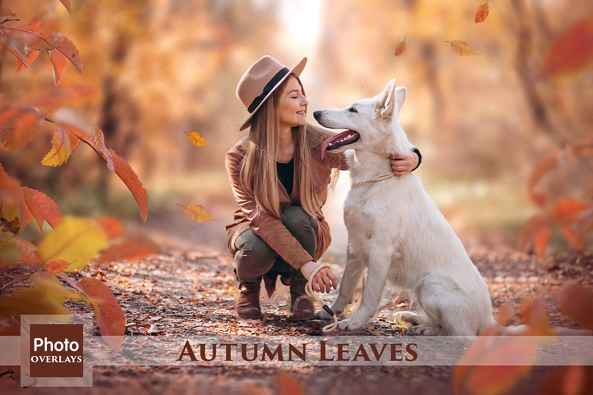 Autumn Leaves Overlays
