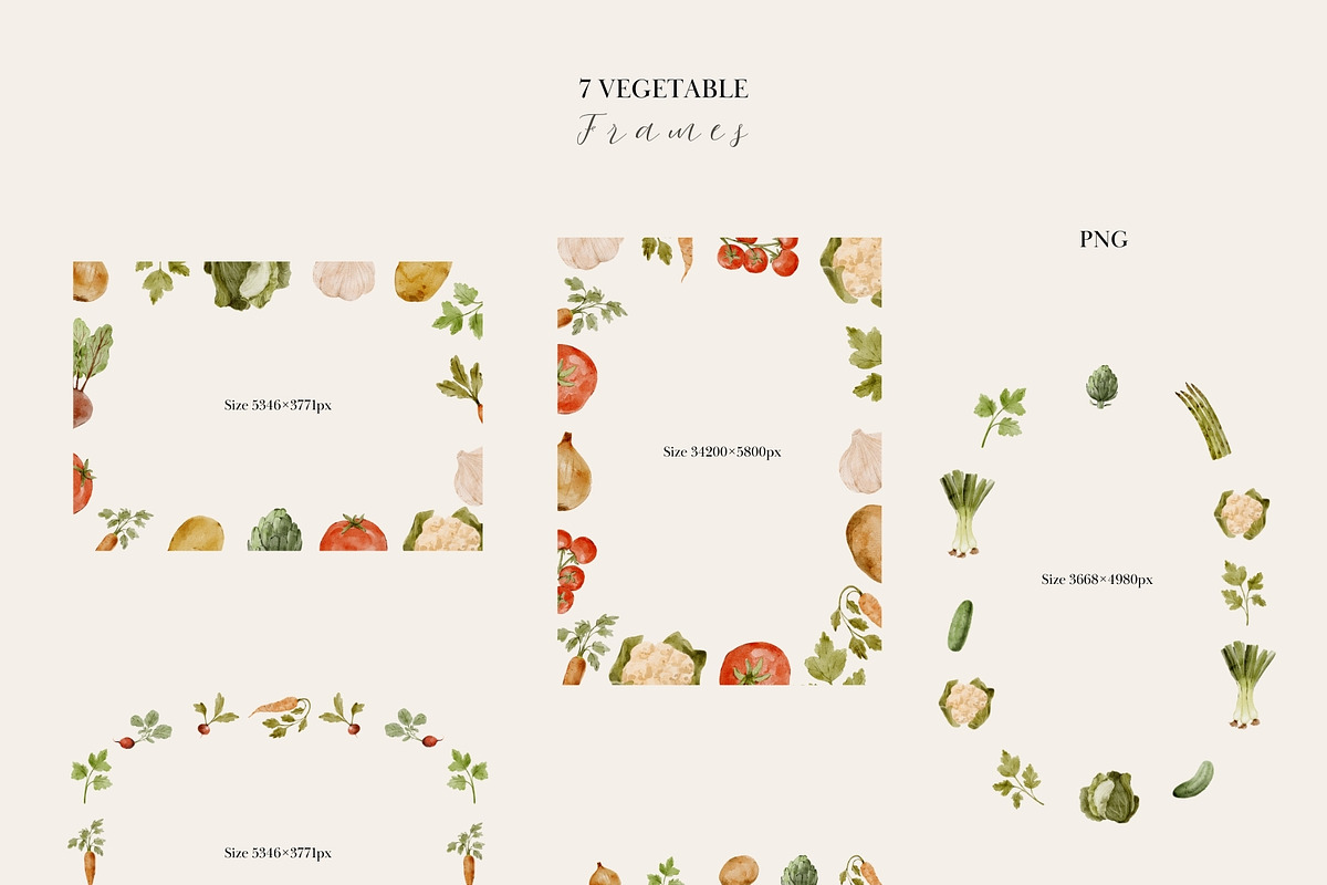 Watercolor Vegetables Collection, a Food Illustration by Jenteva Art (Photo 6 of 15)