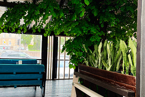 A cozy patio with green foliage and rustic wooden furniture., a Photo by AS photostudio
