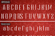 Dhokcen Sanserif Modern font, a Sans Serif Font by Canden Meutuah (Thumbnail 6 of 8)