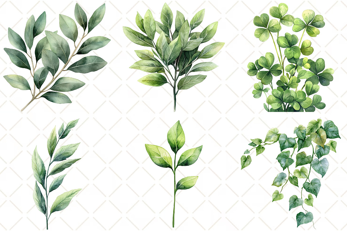 Watercolor Greenery Foliage Clipart, an Illustration by Black Bird Studio (Photo 5 of 5)
