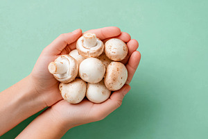 Hands holding fresh mushrooms on mint green background, a Food & Drink Photo by AlyaAnd