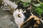 Camera Raw Preset Collection, an Action Add-On by Bamboobear Books Shop (Thumbnail 4 of 4)