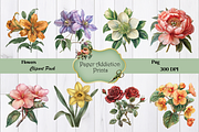 70 Flower Clipart Images, a Decorative Illustration by Paper Addiction Prints (Thumbnail 6 of 10)