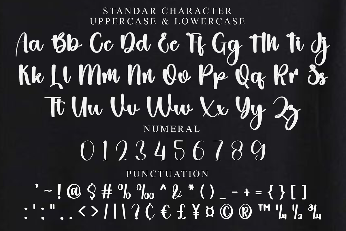 Planner, a Handwritten Font by FreshTypeINK (Photo 4 of 7)